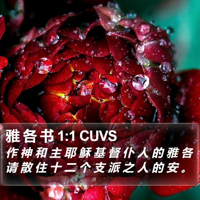 雅 各 书 1:1 CUVS Bible Study