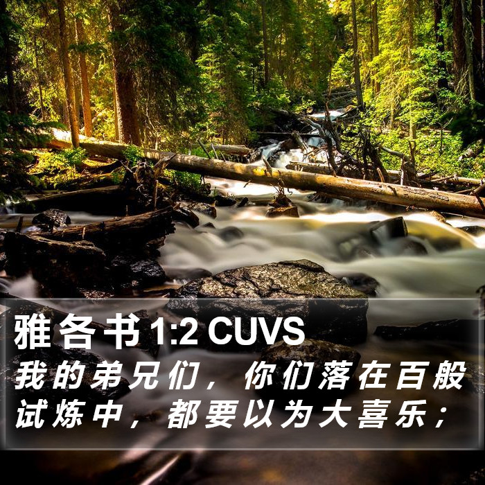 雅 各 书 1:2 CUVS Bible Study