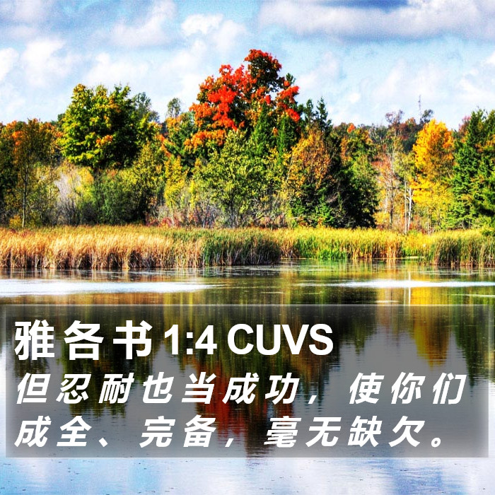 雅 各 书 1:4 CUVS Bible Study