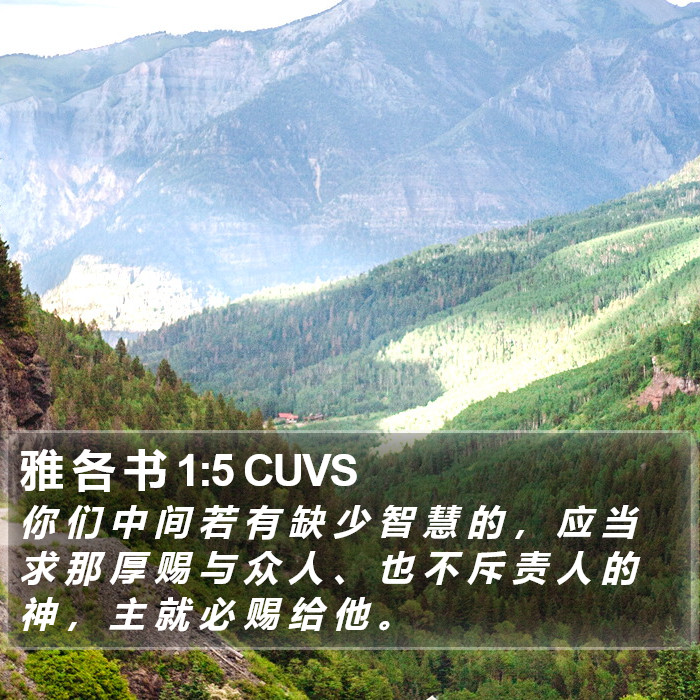 雅 各 书 1:5 CUVS Bible Study