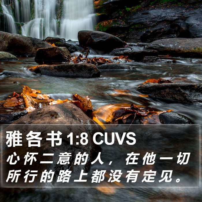 雅 各 书 1:8 CUVS Bible Study