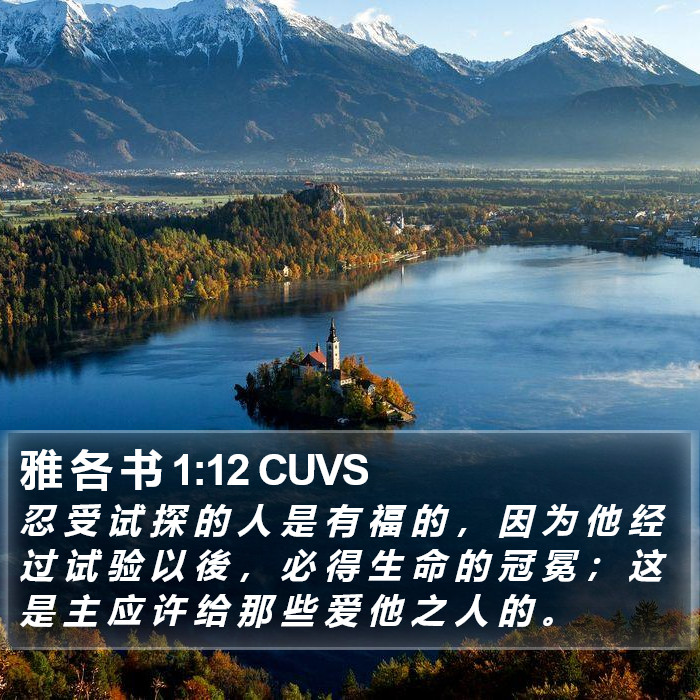 雅 各 书 1:12 CUVS Bible Study