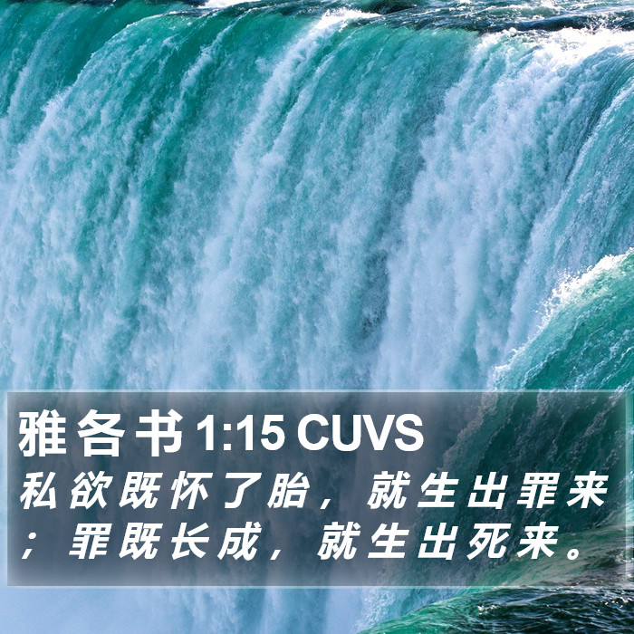 雅 各 书 1:15 CUVS Bible Study