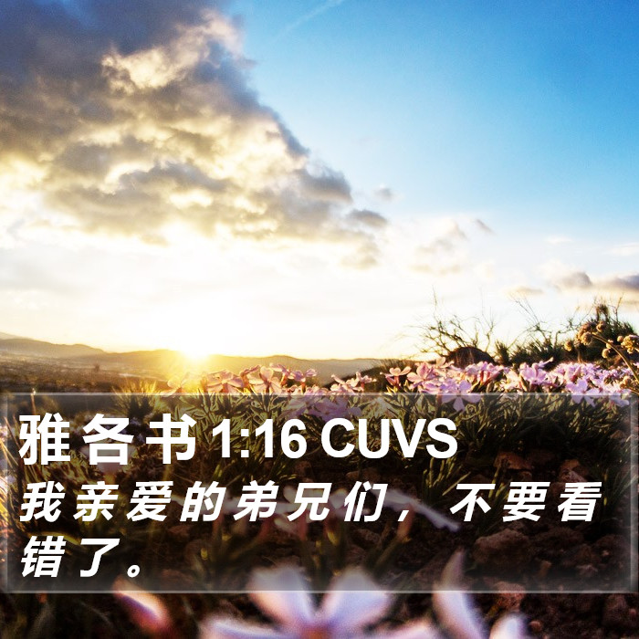 雅 各 书 1:16 CUVS Bible Study