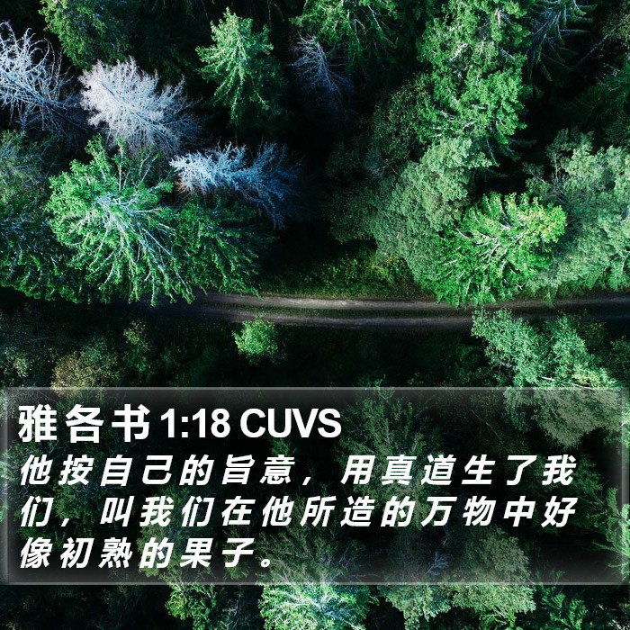 雅 各 书 1:18 CUVS Bible Study