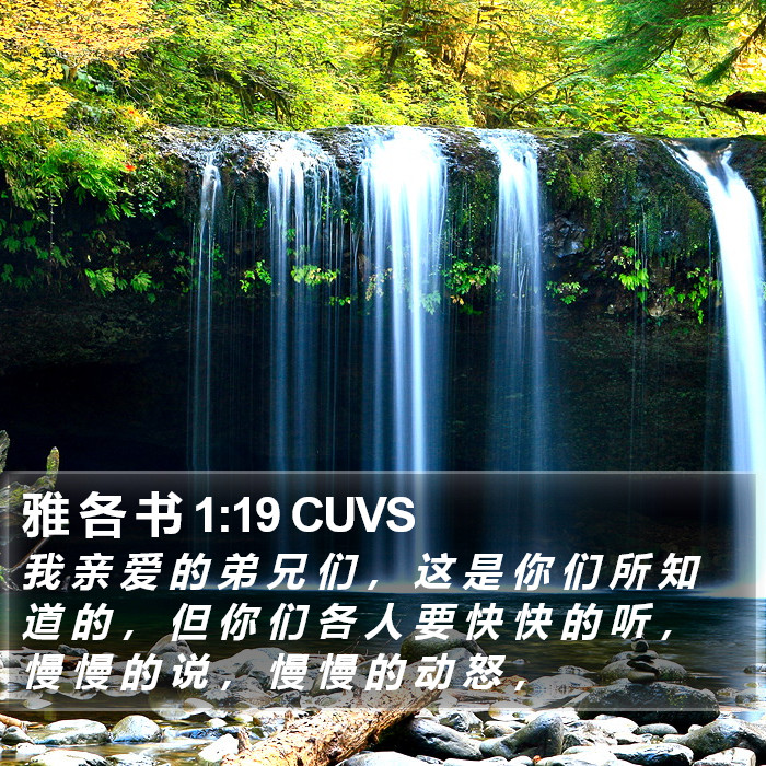 雅 各 书 1:19 CUVS Bible Study