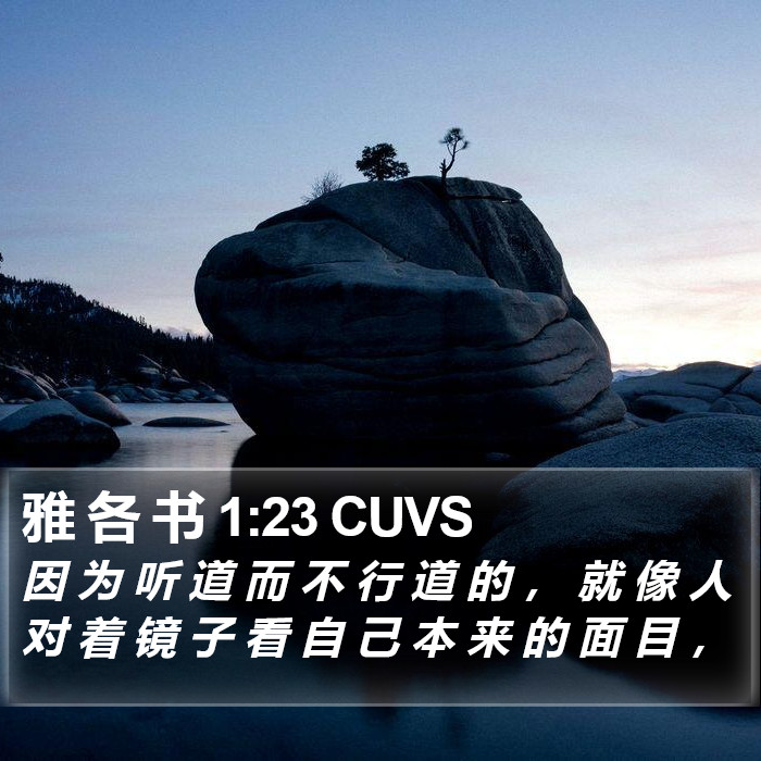 雅 各 书 1:23 CUVS Bible Study