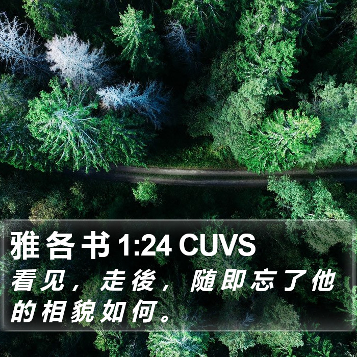 雅 各 书 1:24 CUVS Bible Study