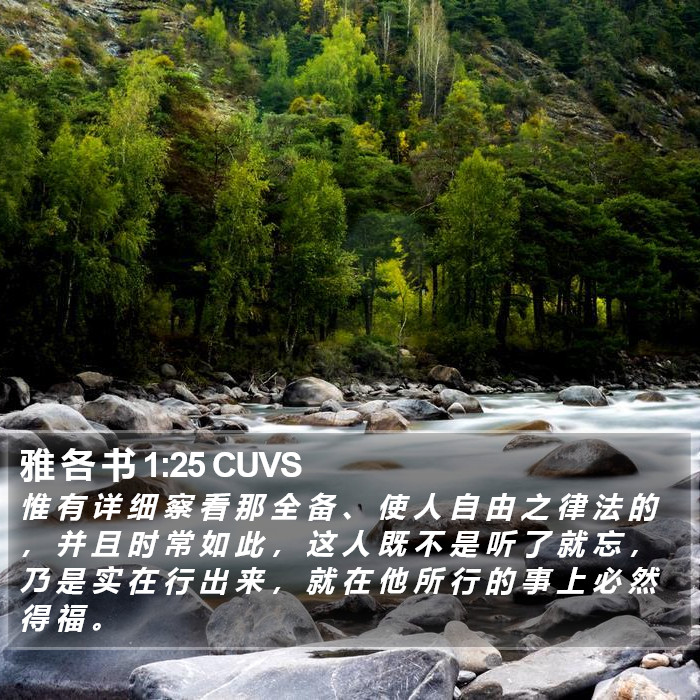 雅 各 书 1:25 CUVS Bible Study