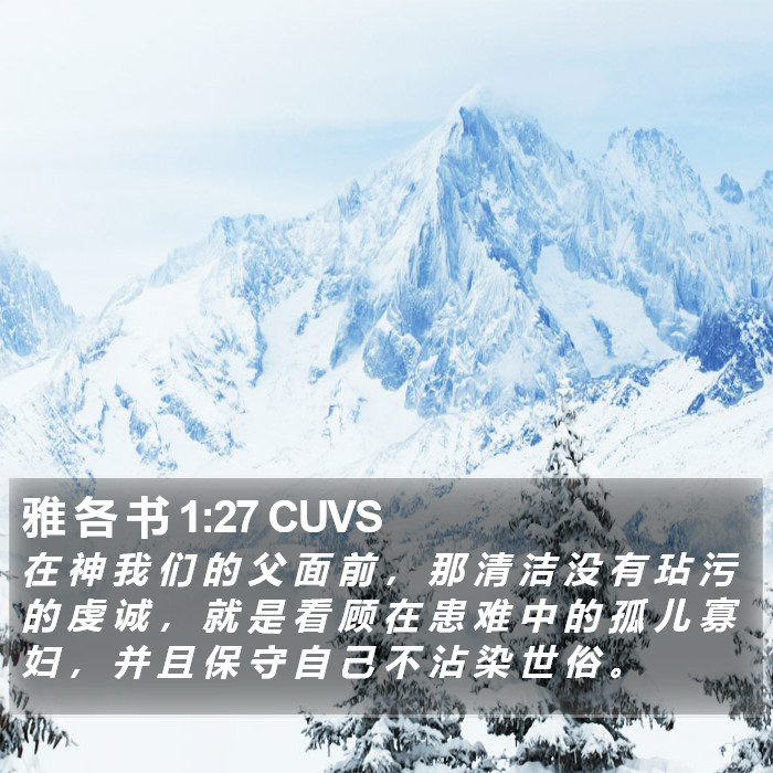 雅 各 书 1:27 CUVS Bible Study