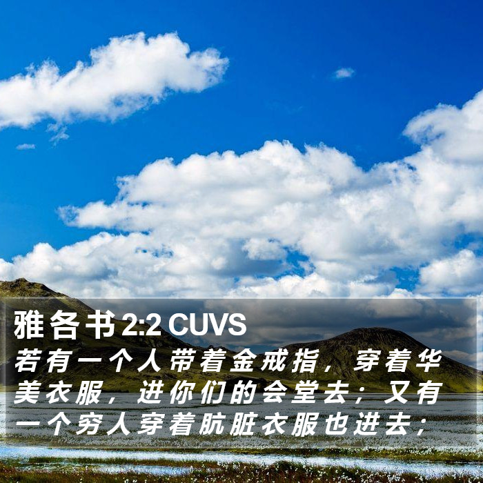 雅 各 书 2:2 CUVS Bible Study