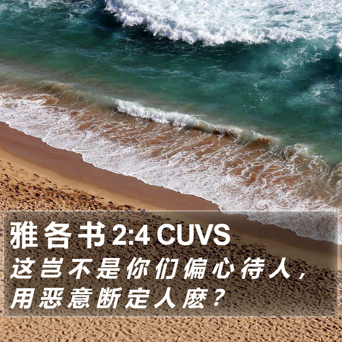 雅 各 书 2:4 CUVS Bible Study