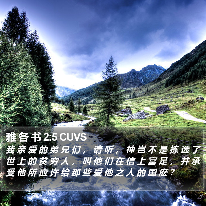 雅 各 书 2:5 CUVS Bible Study