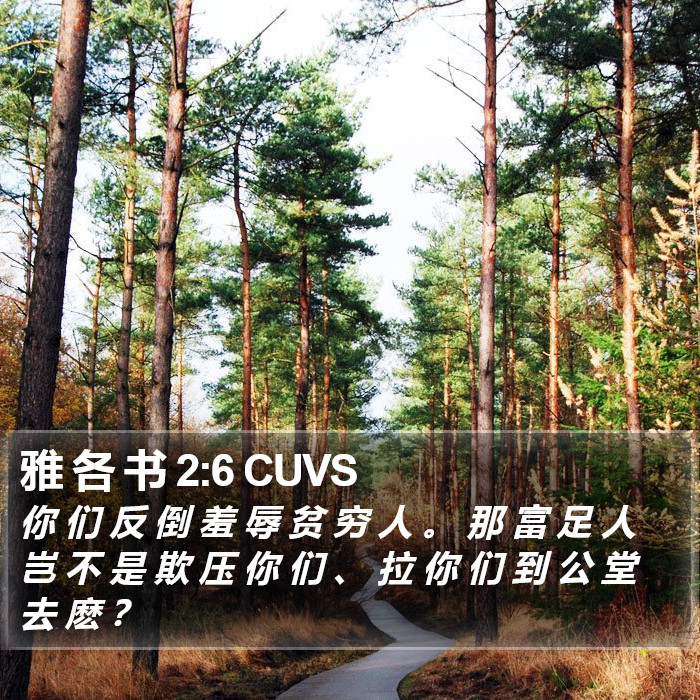 雅 各 书 2:6 CUVS Bible Study