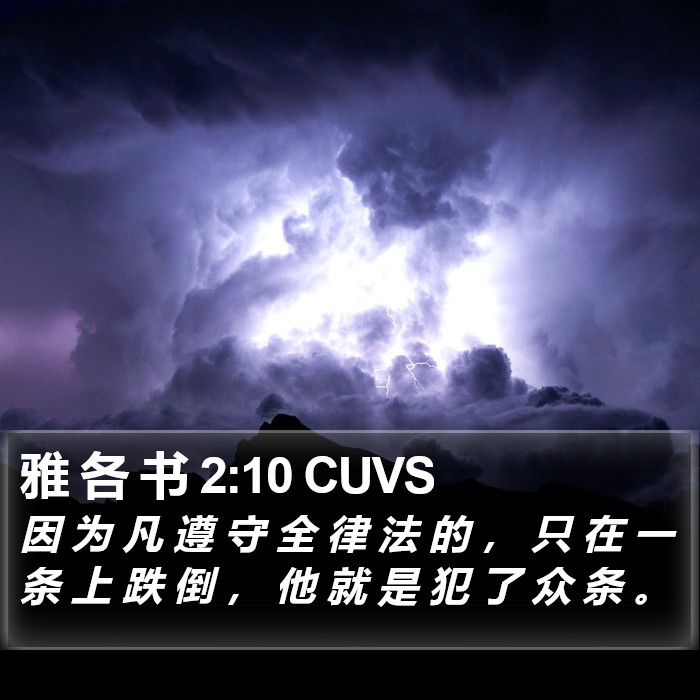 雅 各 书 2:10 CUVS Bible Study