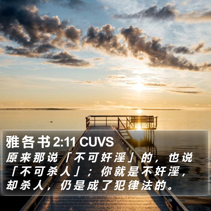 雅 各 书 2:11 CUVS Bible Study