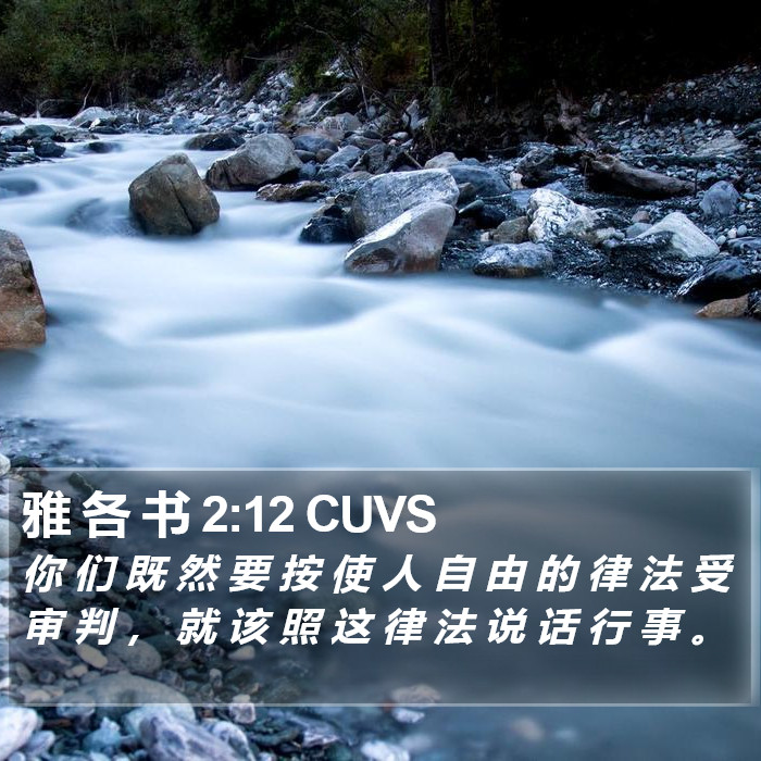 雅 各 书 2:12 CUVS Bible Study