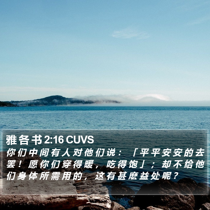 雅 各 书 2:16 CUVS Bible Study