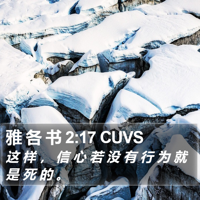 雅 各 书 2:17 CUVS Bible Study