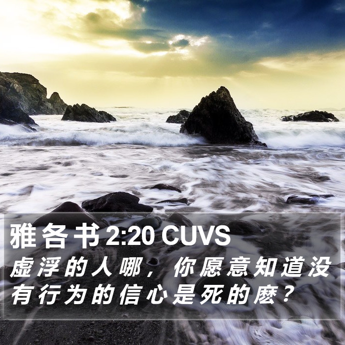 雅 各 书 2:20 CUVS Bible Study