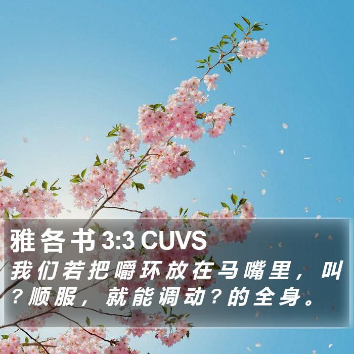 雅 各 书 3:3 CUVS Bible Study