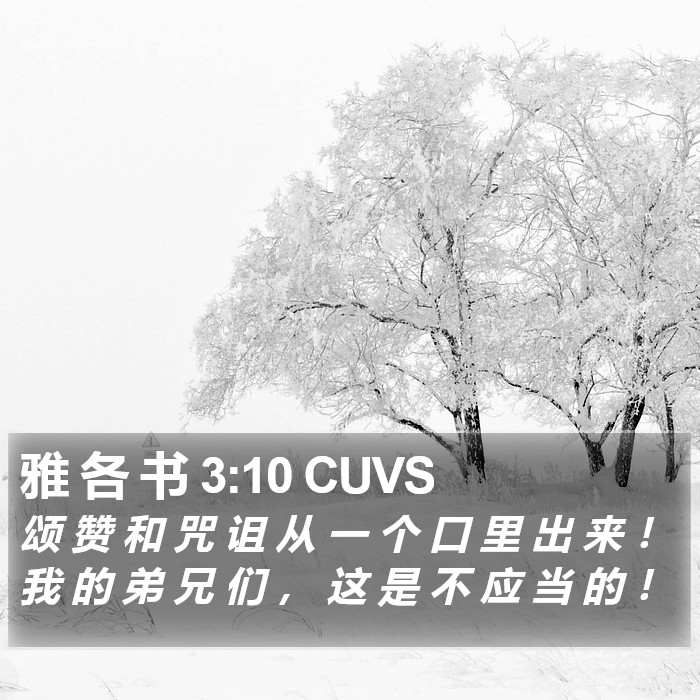 雅 各 书 3:10 CUVS Bible Study