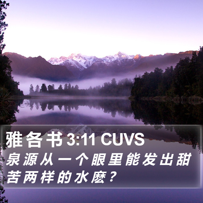 雅 各 书 3:11 CUVS Bible Study