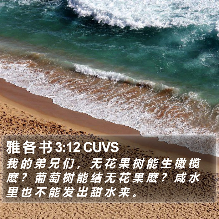 雅 各 书 3:12 CUVS Bible Study