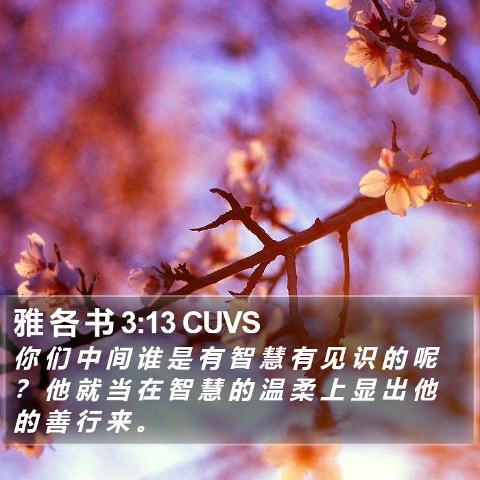 雅 各 书 3:13 CUVS Bible Study