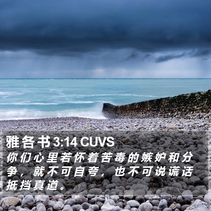 雅 各 书 3:14 CUVS Bible Study