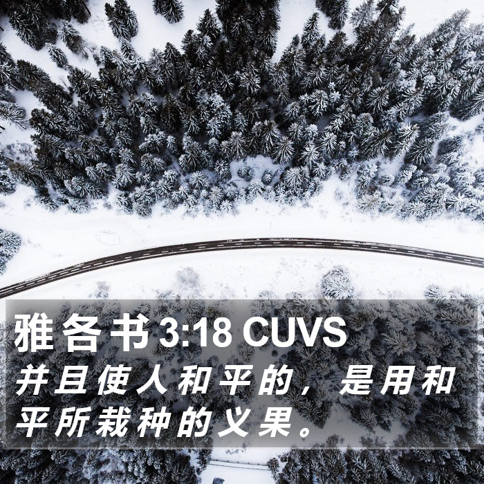 雅 各 书 3:18 CUVS Bible Study