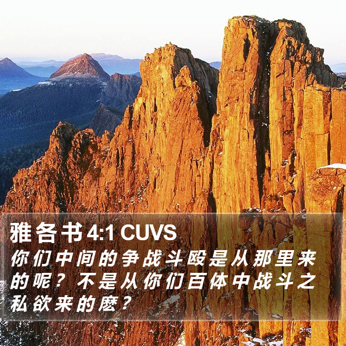 雅 各 书 4:1 CUVS Bible Study