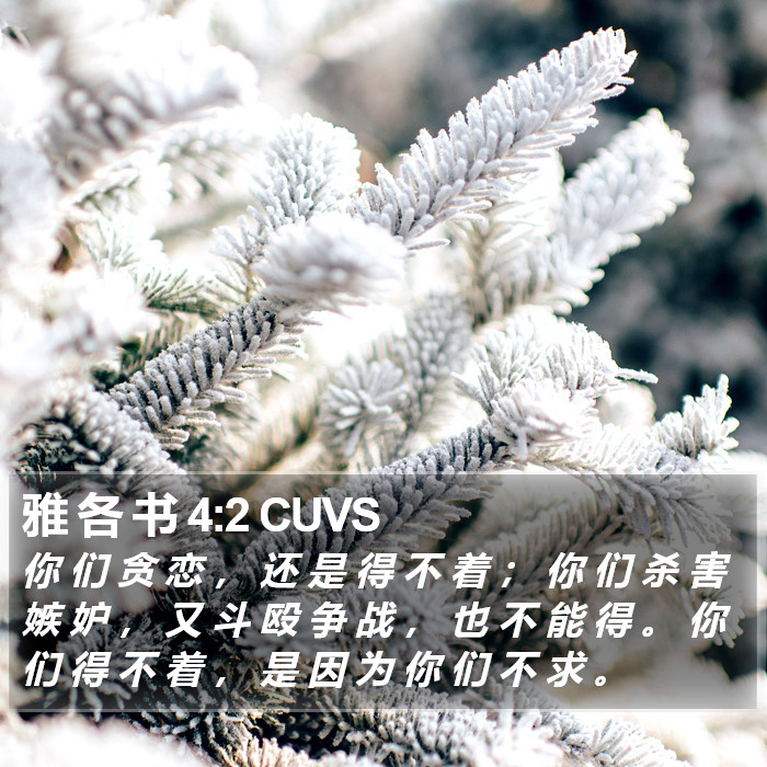 雅 各 书 4:2 CUVS Bible Study