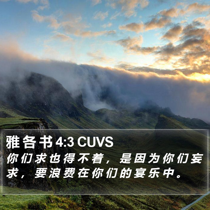 雅 各 书 4:3 CUVS Bible Study