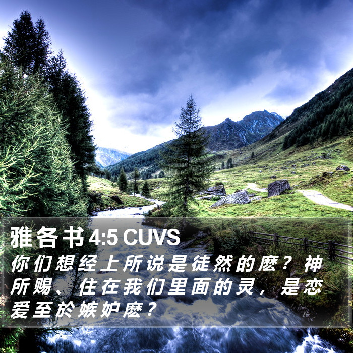 雅 各 书 4:5 CUVS Bible Study