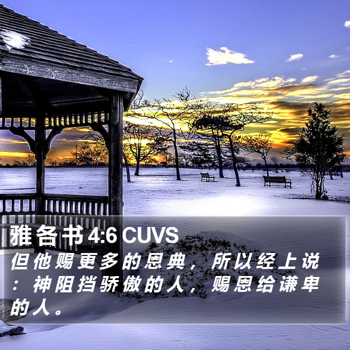 雅 各 书 4:6 CUVS Bible Study