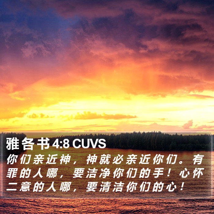 雅 各 书 4:8 CUVS Bible Study