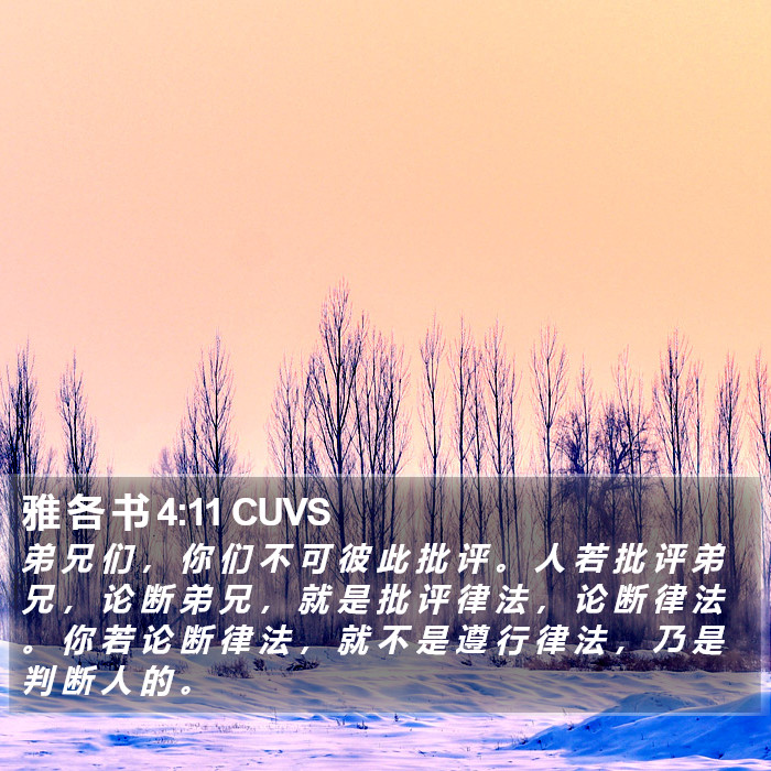 雅 各 书 4:11 CUVS Bible Study