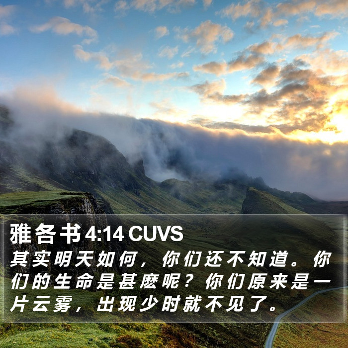 雅 各 书 4:14 CUVS Bible Study