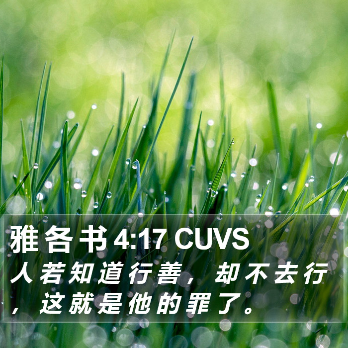 雅 各 书 4:17 CUVS Bible Study