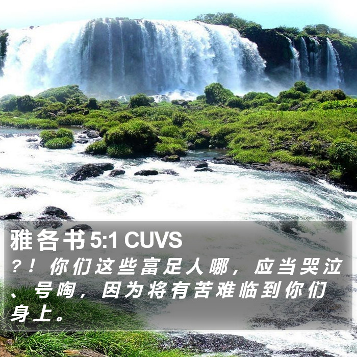 雅 各 书 5:1 CUVS Bible Study