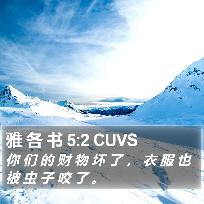 雅 各 书 5:2 CUVS Bible Study