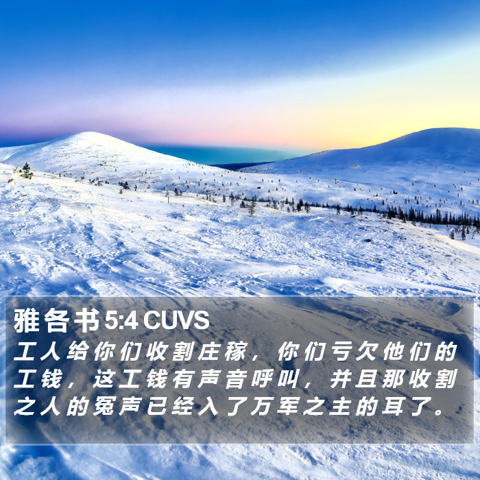 雅 各 书 5:4 CUVS Bible Study