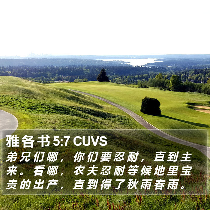 雅 各 书 5:7 CUVS Bible Study