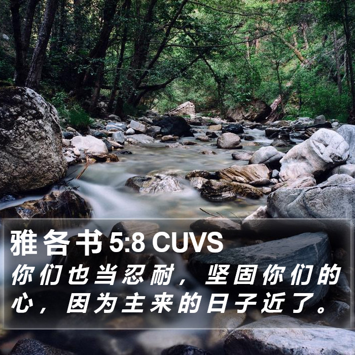 雅 各 书 5:8 CUVS Bible Study