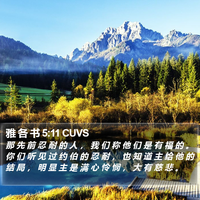 雅 各 书 5:11 CUVS Bible Study