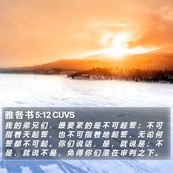 雅 各 书 5:12 CUVS Bible Study