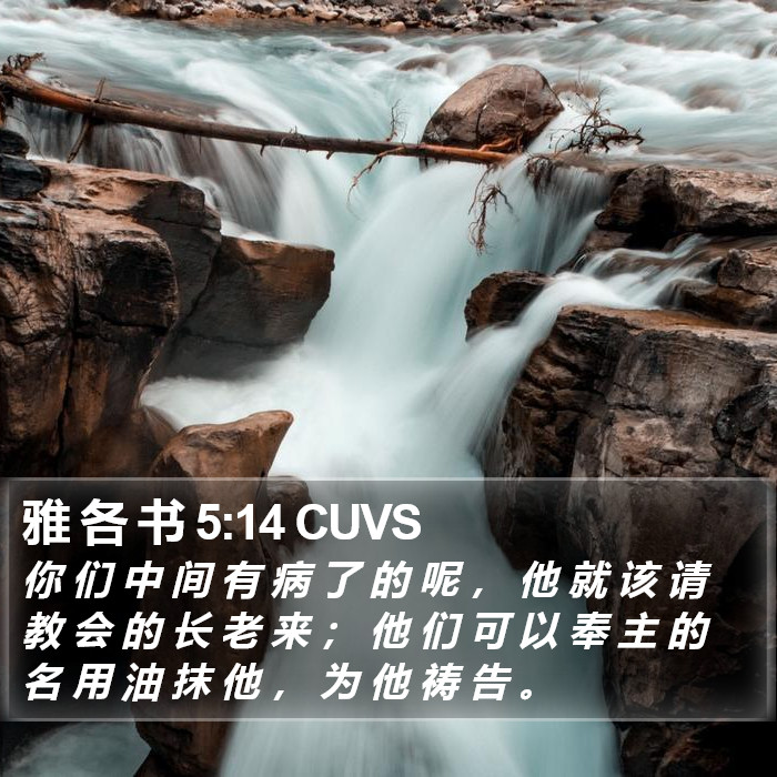 雅 各 书 5:14 CUVS Bible Study