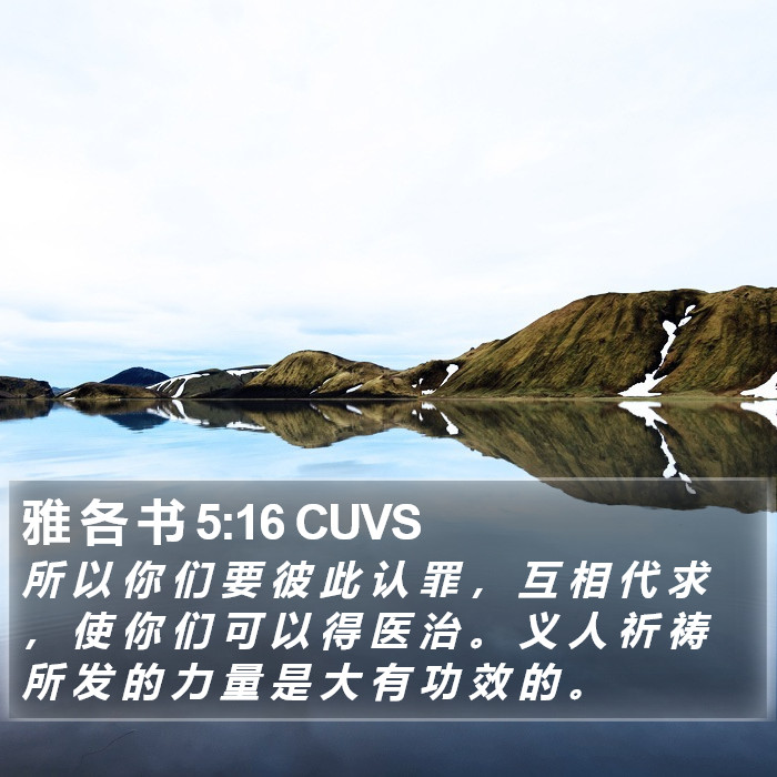 雅 各 书 5:16 CUVS Bible Study