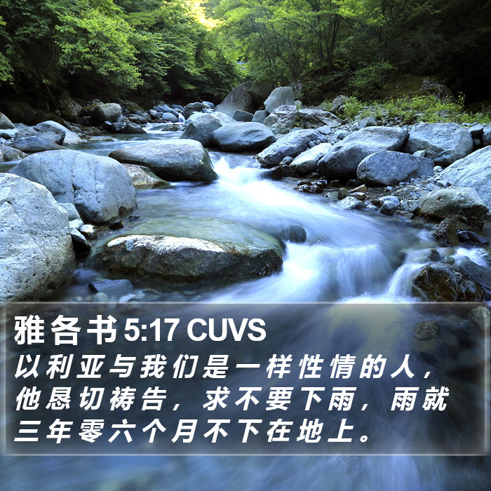 雅 各 书 5:17 CUVS Bible Study